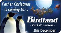 Birdland Xmas
